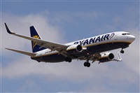 ©Alfonso Solís - Asociación Canary Islands Spotting. Click to see full size photo ©Alfonso Solís - Asociación Canary Islands Spotting. Click to see full size photo