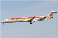 Rubn Gil - Noisy Spotters. Click to see full size photo