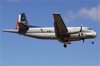 J. Victor Vega-Gran Canaria Spotters. Click to see full size photo