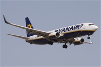 ©Alfonso Solís - Asociación Canary Islands Spotting. Click to see full size photo ©Alfonso Solís - Asociación Canary Islands Spotting. Click to see full size photo