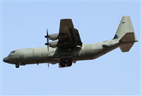 Alejandro H.L - Gran Canaria Spotters. Haz click para ampliar
