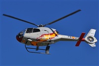 ©Salvador de la Rubia ( Marbella Spotters ). Click to see full size photo ©Salvador de la Rubia ( Marbella Spotters ). Click to see full size photo