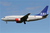 Rodrigo Carvalho - Noisy Spotters. Click to see full size photo
