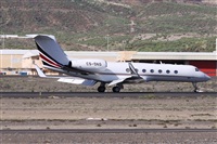 Alfonso Sols - Asociacin Canary Islands Spotting. Click to see full size photo