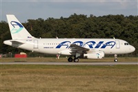 Miguel Alia - Noisy Spotters. Click to see full size photo