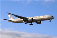 Javier de la Cruz - CANARY ISLANDS SPOTTING. Click to see full size photo