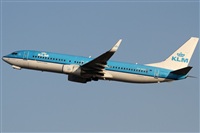 Rubn Gil - Noisy Spotters. Click to see full size photo