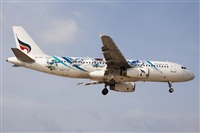 Miguel Alia - Noisy Spotters. Click to see full size photo