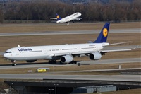 Rodrigo Carvalho - Noisy Spotters. Click to see full size photo