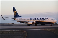 Saimon J Rodriguez   -   Canary Islands Spotting. Click to see full size photo