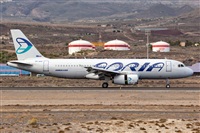 Javier de la Cruz - CANARY ISLANDS SPOTTING. Click to see full size photo