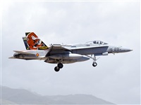 Paco Muoz Arencibia - Gran Canaria Spotters. Click to see full size photo