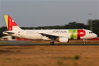 Rodrigo Carvalho - Noisy Spotters. Click to see full size photo
