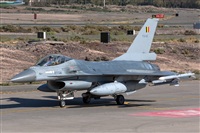 Bartolom Fernndez - Gran Canaria Spotters. Click to see full size photo