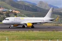 Miguel A. gueda Rguez.  (CANARY ISLANDS SPOTTING). Click to see full size photo