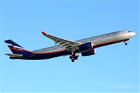 Miguel A. gueda Rguez.  (CANARY ISLANDS SPOTTING). Click to see full size photo