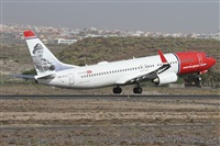 ©Alfonso Solís - Asociación Canary Islands Spotting. Click to see full size photo ©Alfonso Solís - Asociación Canary Islands Spotting. Click to see full size photo