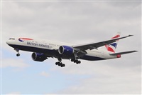 Miguel A. gueda Rguez.  (CANARY ISLANDS SPOTTING). Click to see full size photo
