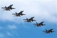 Bartolom Fernndez - Gran Canaria Spotters. Click to see full size photo