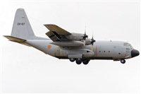 Paco Muoz Arencibia - Gran Canaria Spotters. Click to see full size photo