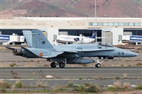 Florencio Martn Melin - Lanzarote Spotters. Haz click para ampliar