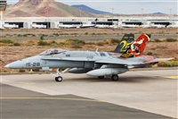 Florencio Martn Melin - Lanzarote Spotters. Click to see full size photo