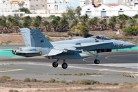 J. Victor Vega-Gran Canaria Spotters. Click to see full size photo