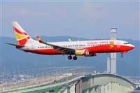 Miguel A. gueda Rguez.  (CANARY ISLANDS SPOTTING). Haz click para ampliar