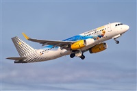 Javier de la Cruz - CANARY ISLANDS SPOTTING. Click to see full size photo