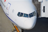 Miguel A. gueda Rguez.  (CANARY ISLANDS SPOTTING). Click to see full size photo