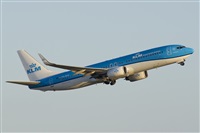 Saimon J Rodriguez   -   Canary Islands Spotting. Click to see full size photo