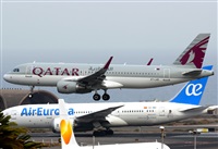 Alejandro H.L - Gran Canaria Spotters. Click to see full size photo