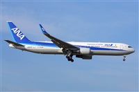 Miguel A. gueda Rguez.  (CANARY ISLANDS SPOTTING). Haz click para ampliar