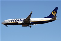 Alfonso Sols - Asociacin Canary Islands Spotting. Haz click para ampliar