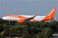 Miguel A. gueda Rguez.  (CANARY ISLANDS SPOTTING). Haz click para ampliar