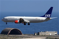 Alfonso Sols - Asociacin Canary Islands Spotting. Click to see full size photo