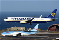 ©Alejandro H.L - Gran Canaria Spotters. Click to see full size photo ©Alejandro H.L - Gran Canaria Spotters. Click to see full size photo