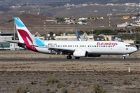 ©Alfonso Solís - Asociación Canary Islands Spotting. Click to see full size photo ©Alfonso Solís - Asociación Canary Islands Spotting. Click to see full size photo