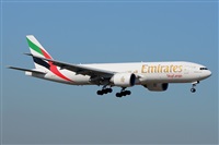 Miguel A. gueda Rguez.  (CANARY ISLANDS SPOTTING). Click to see full size photo