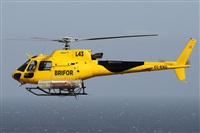 Alfonso Sols - Asociacin Canary Islands Spotting. Click to see full size photo