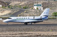 Miguel A. gueda Rguez.  (CANARY ISLANDS SPOTTING). Click to see full size photo