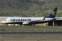 Alfonso Sols - Asociacin Canary Islands Spotting. Click to see full size photo