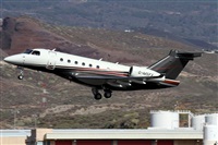 ©Alfonso Solís - Asociación Canary Islands Spotting. Click to see full size photo ©Alfonso Solís - Asociación Canary Islands Spotting. Click to see full size photo