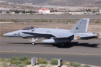 Alfonso Sols - Asociacin Canary Islands Spotting. Haz click para ampliar