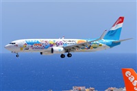 Miguel A. gueda Rguez.  (CANARY ISLANDS SPOTTING). Click to see full size photo