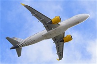 Miguel A. gueda Rguez.  (CANARY ISLANDS SPOTTING). Click to see full size photo
