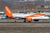 Alfonso Sols - Asociacin Canary Islands Spotting. Haz click para ampliar