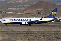 Alfonso Sols - Asociacin Canary Islands Spotting. Click to see full size photo