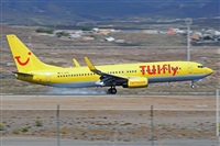 Miguel A. gueda Rguez.  (CANARY ISLANDS SPOTTING). Haz click para ampliar