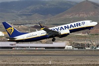 Alfonso Sols - Asociacin Canary Islands Spotting. Haz click para ampliar